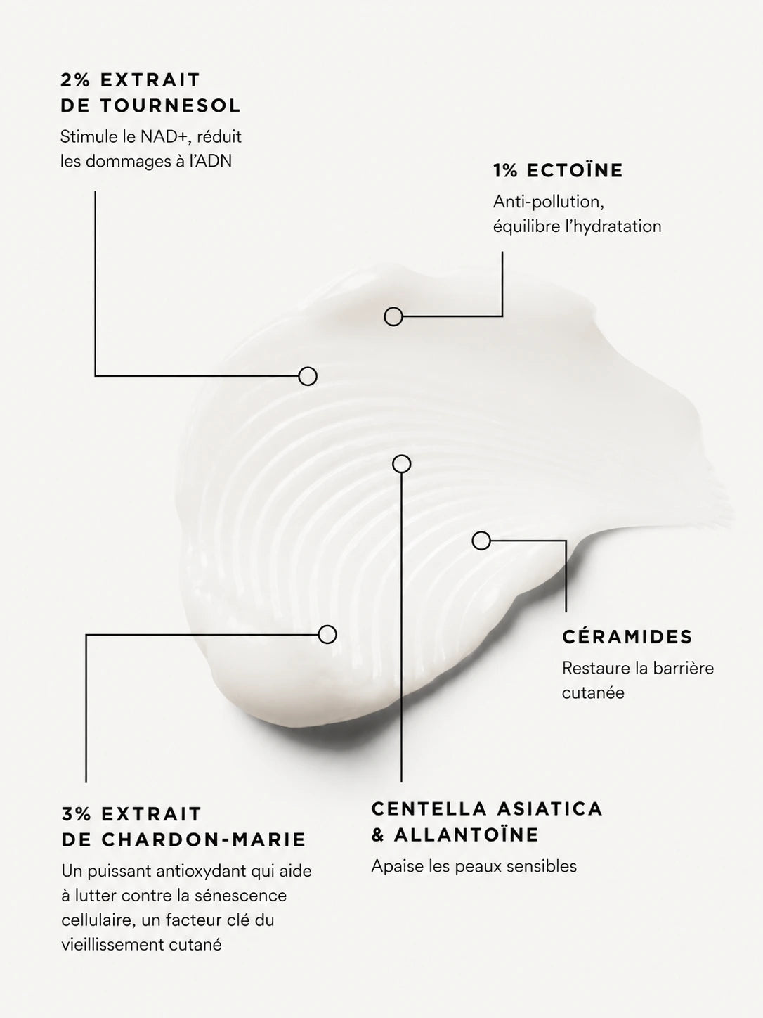 Hydratant SkinBalance